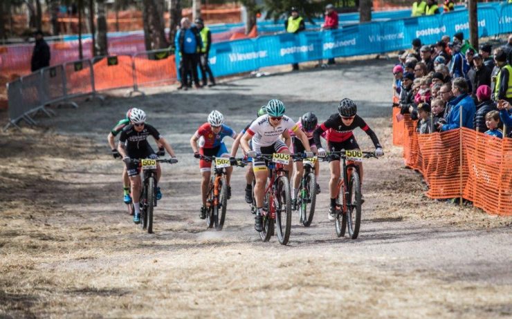 Wallner_170429_36124_low